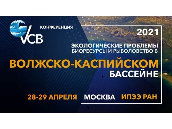 В результате Российско-Туркменской Web Конференции 